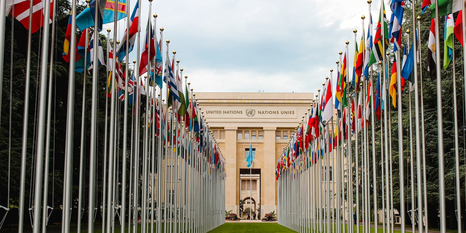 avocat droit international